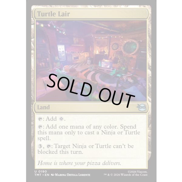 画像2: タートルズの隠れ家/Turtle Lair (2)