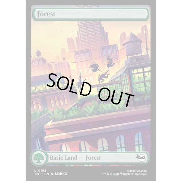 画像2: 森/Forest (2)