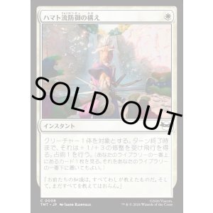 画像: ハマト流防御の構え/Hamato Guardian Stance