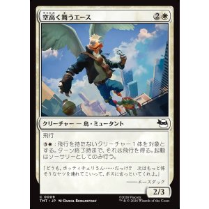 画像: 空高く舞うエース/High-Flying Ace