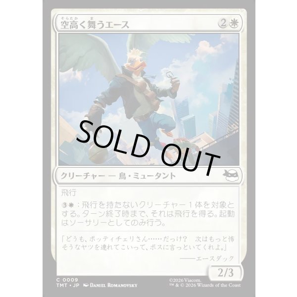 画像1: 空高く舞うエース/High-Flying Ace (1)