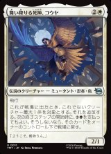 画像: 舞い降りる死神、コウヤ/Koya, Death from Above