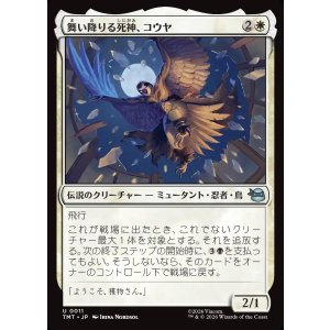 画像: 舞い降りる死神、コウヤ/Koya, Death from Above