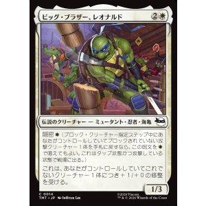 画像: ビッグ・ブラザー、レオナルド/Leonardo, Big Brother