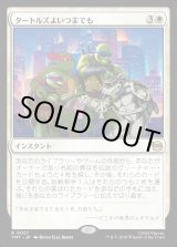 画像: タートルズよいつまでも/Turtles Forever