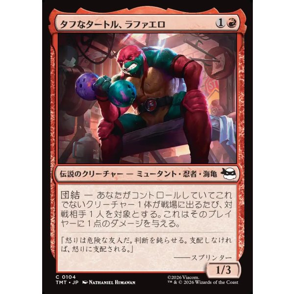 画像1: タフなタートル、ラファエロ/Raphael, Tough Turtle (1)