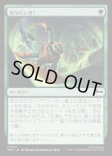 画像: カワバンガ！/Cowabunga!