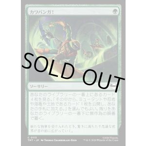 画像: カワバンガ!/Cowabunga!