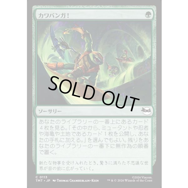 画像1: カワバンガ！/Cowabunga! (1)