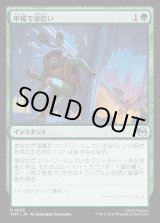 画像: 甲羅で命拾い/Saved by the Shell