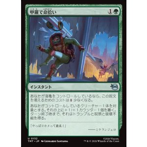 画像: 甲羅で命拾い/Saved by the Shell