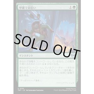 画像: 甲羅で命拾い/Saved by the Shell