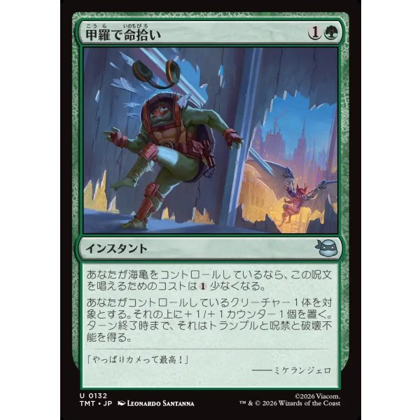 画像1: 甲羅で命拾い/Saved by the Shell (1)