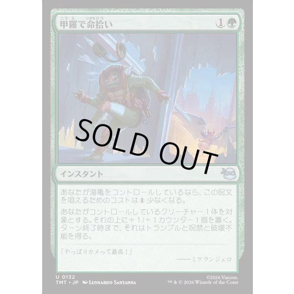 画像1: 甲羅で命拾い/Saved by the Shell (1)