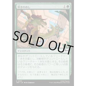 画像: 叩きのめし/Tenderize