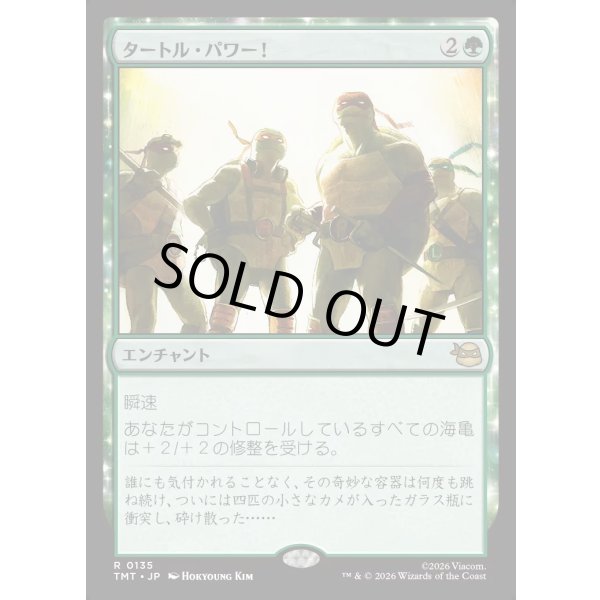 画像1: タートル・パワー！/Turtle Power! (1)