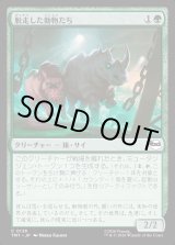 画像: 脱走した動物たち/Zoo Escapees