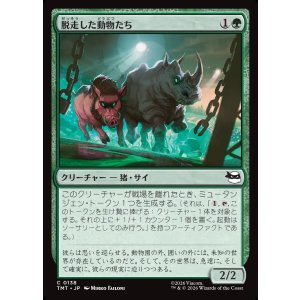 画像: 脱走した動物たち/Zoo Escapees