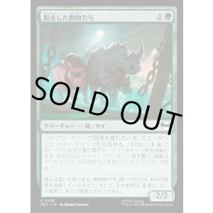 画像: 脱走した動物たち/Zoo Escapees