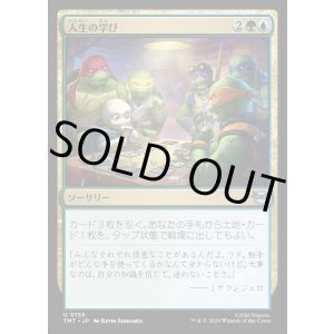 画像: 人生の学び/Lessons from Life