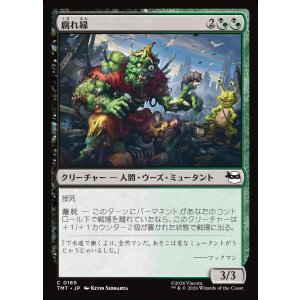 画像: 腐れ縁/Putrid Pals