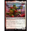画像1: 兄弟でありライバル、ラフとレオ/Raph & Leo, Sibling Rivals (1)