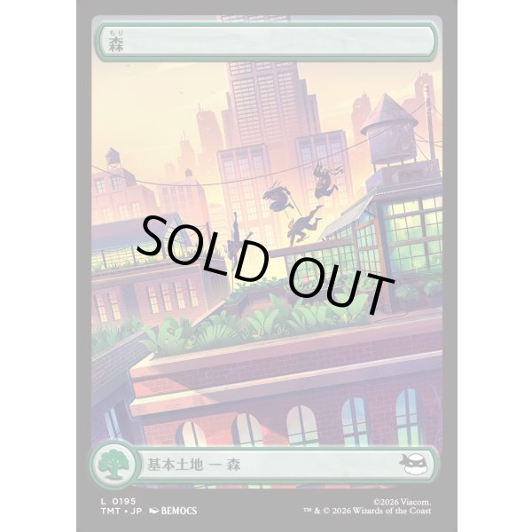 画像1: 森/Forest (1)