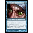 画像1: 知恵の蛇の眼/Ophidian Eye (1)