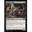 画像2: もつれる群体/Tangled Colony (2)