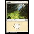 画像2: 平地/Plains (2)