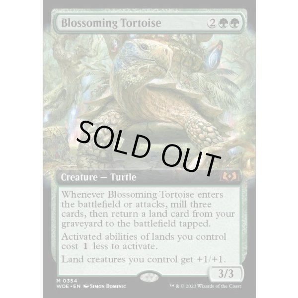 画像2: 開花の亀/Blossoming Tortoise (2)