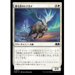 画像: 霜毛皮のトナカイ/Rimefur Reindeer
