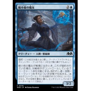 画像: 縮小術の魔女/Diminisher Witch