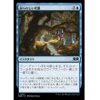 画像1: 紛らわしい光塵/Misleading Motes (1)