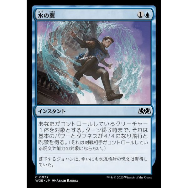 画像1: 水の翼/Water Wings (1)