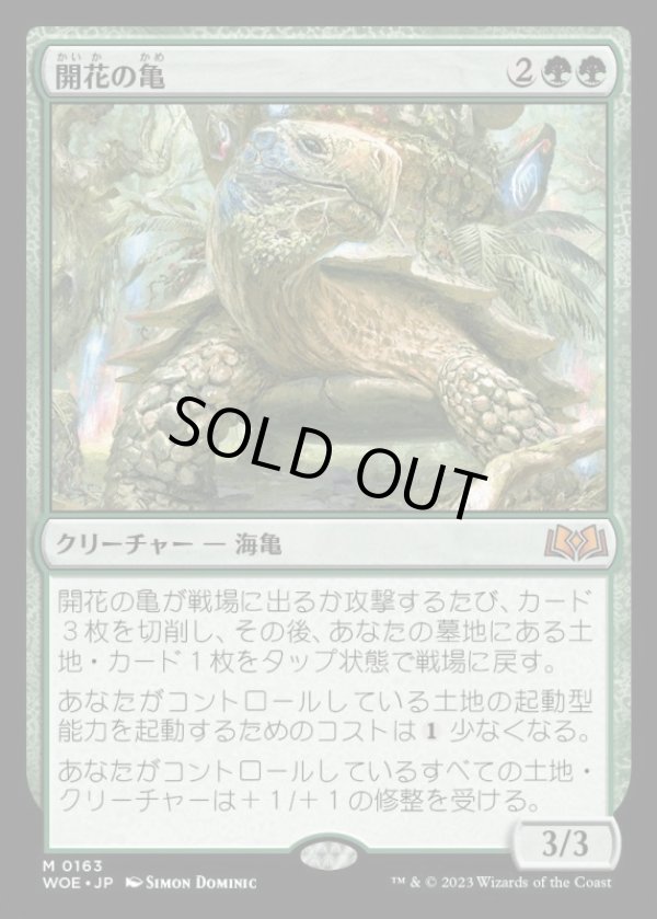 画像1: 《開花の亀/Blossoming Tortoise(0163)》【JPN】[WOE緑M] (1)