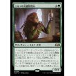 画像1: エルフの文書管理人/Elvish Archivist (1)