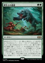 画像: 野生との遭遇/Feral Encounter