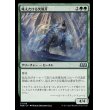 画像1: 吼えたける突風牙/Howling Galefang (1)
