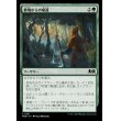 画像1: 僻境からの帰還/Return from the Wilds (1)