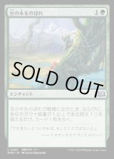 画像: 豆の木をのぼれ/Up the Beanstalk