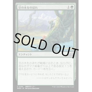 画像: 豆の木をのぼれ/Up the Beanstalk