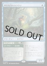 画像: 神出鬼没のカワウソ/Elusive Otter