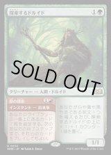 画像: 探索するドルイド/Questing Druid