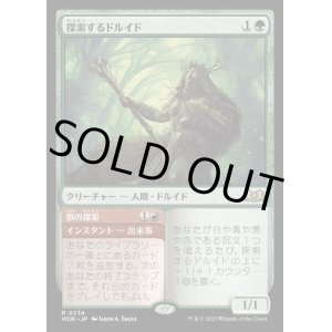 画像: 探索するドルイド/Questing Druid