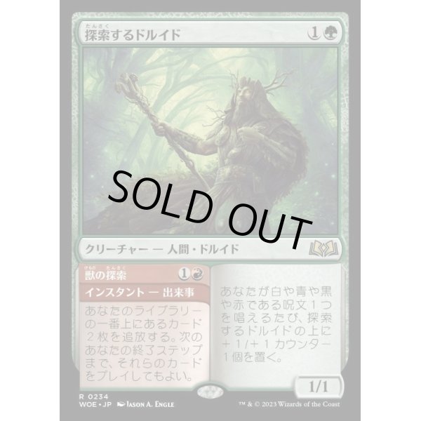 画像1: 探索するドルイド/Questing Druid (1)