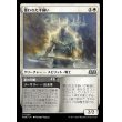 画像1: 覆われた羊飼い/Shrouded Shepherd (1)