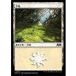 画像1: 平地/Plains (1)