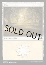 画像: 平地/Plains