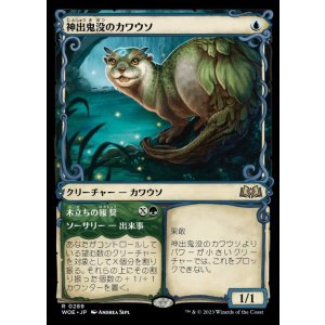 画像: 神出鬼没のカワウソ/Elusive Otter